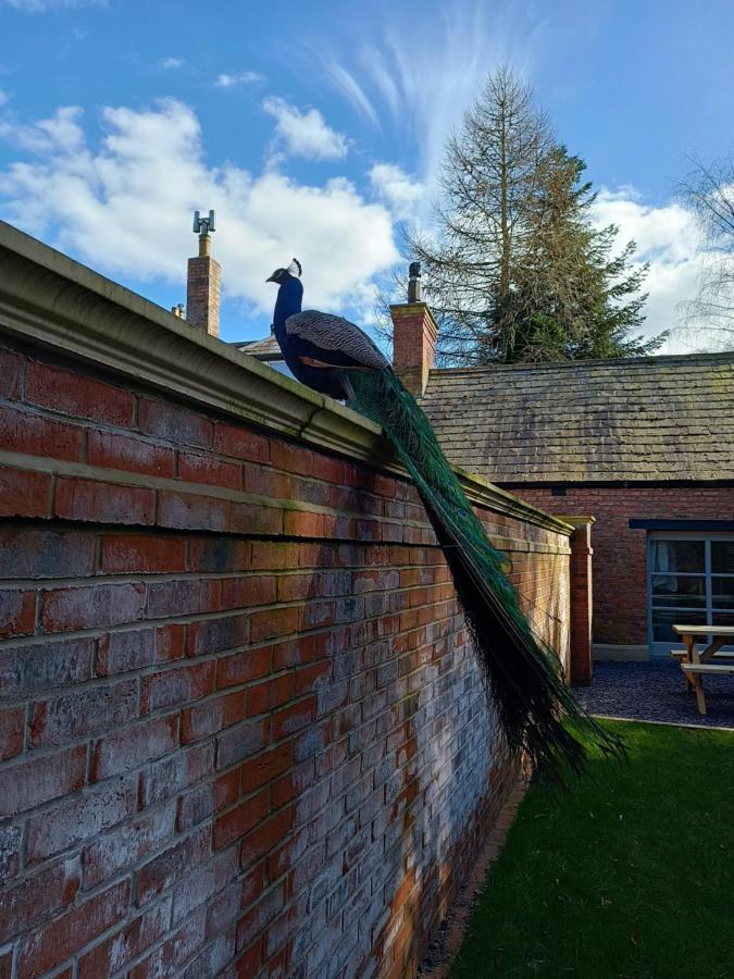 The West Wing At Eriviat Hall Hot Tub Henllan  ภายนอก รูปภาพ